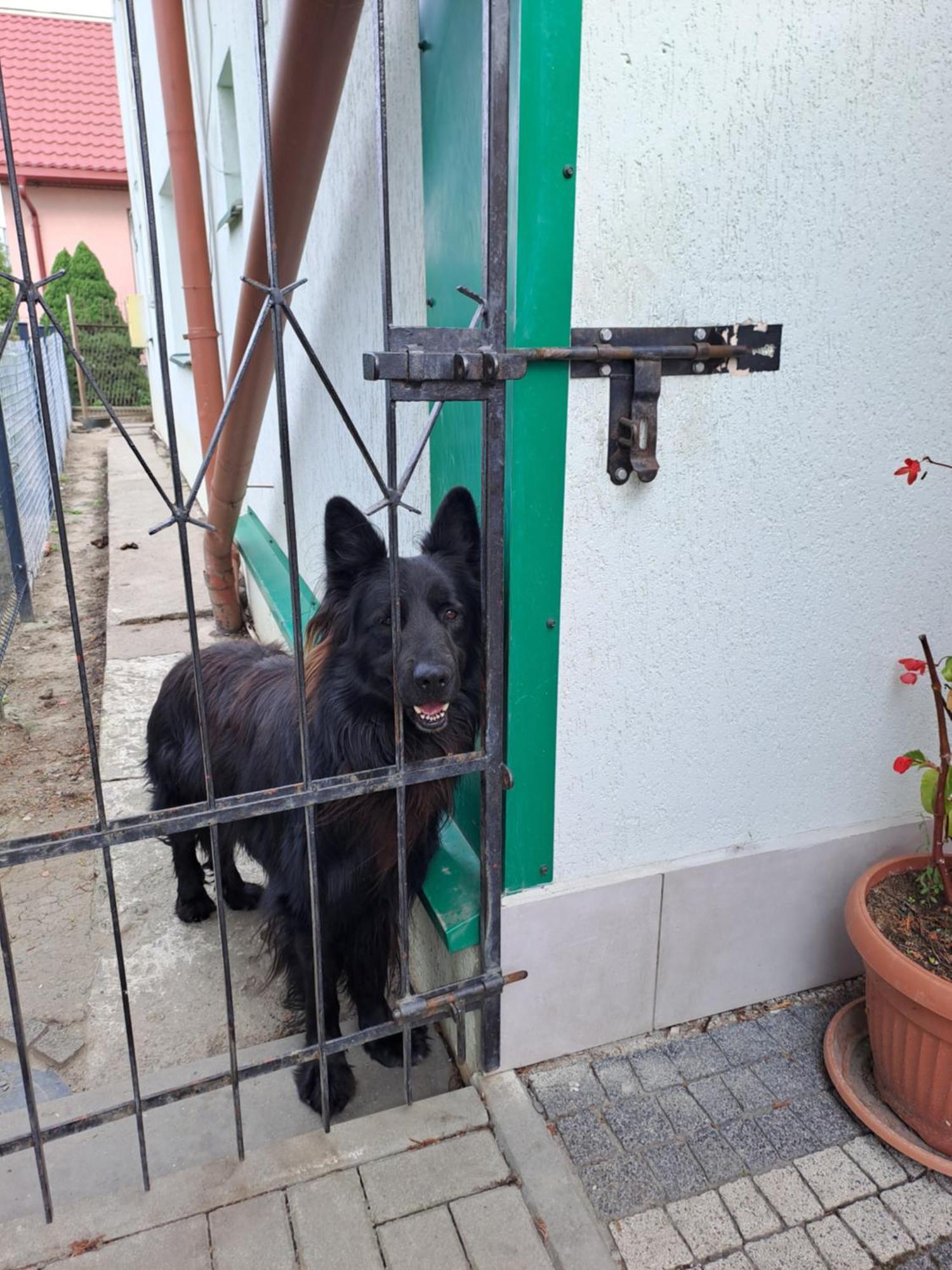 Homestay Goscinne Zaglobianka *