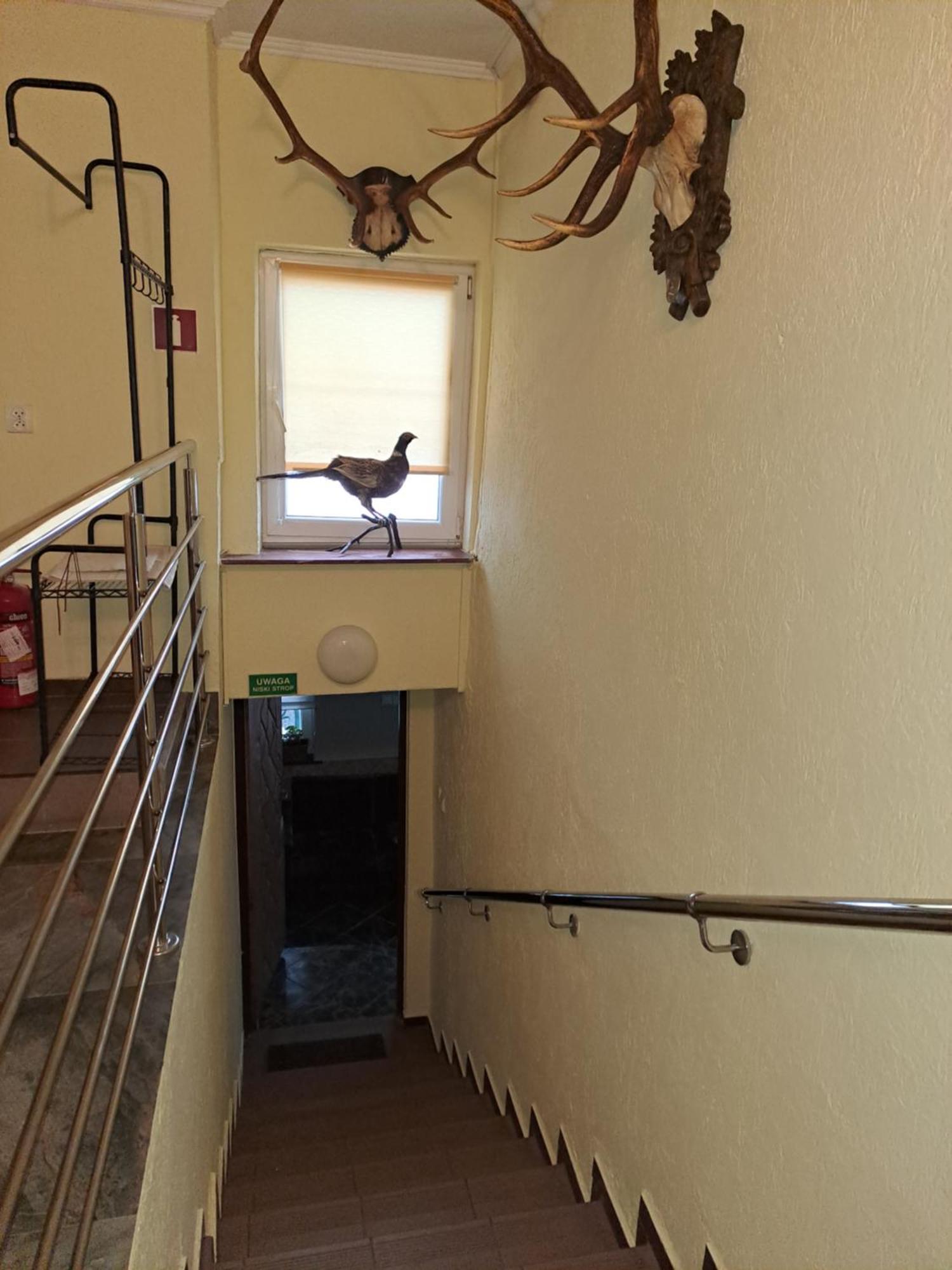 Goscinne Zaglobianka Homestay *